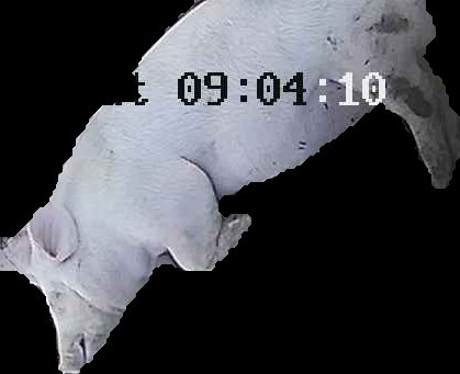 Crop