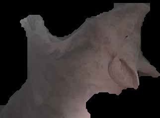Crop
