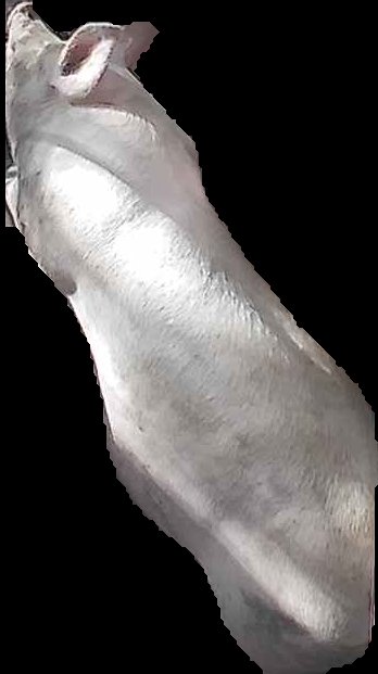 Crop