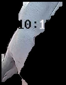 Crop