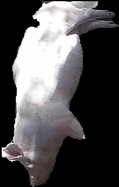 Crop