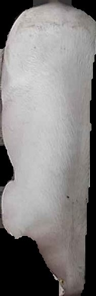 Crop