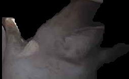 Crop