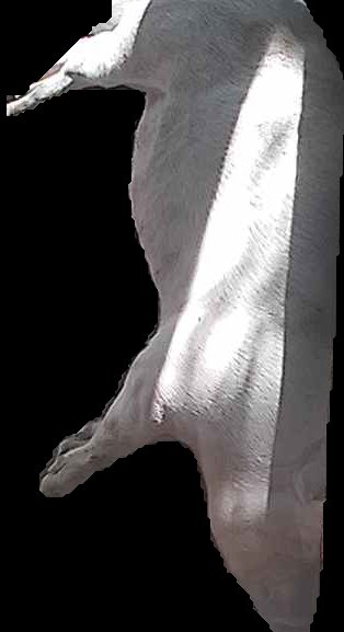 Crop