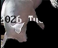 Crop