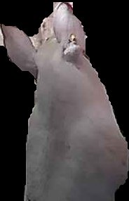 Crop