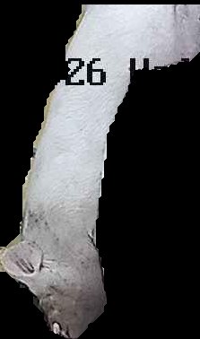 Crop