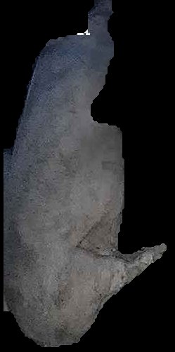Crop
