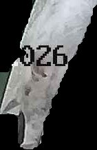 Crop