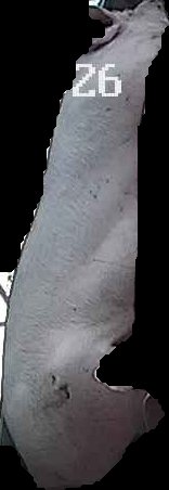Crop