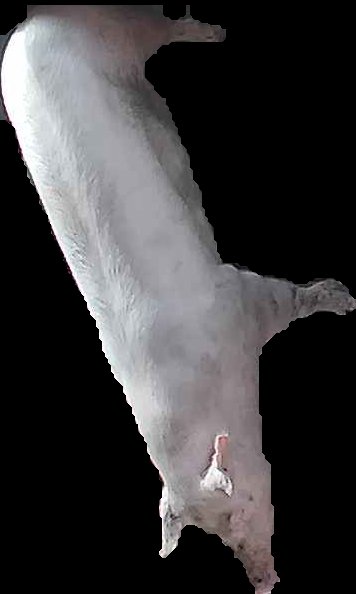 Crop