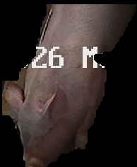 Crop