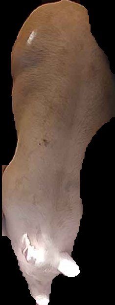Crop