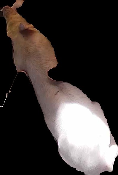 Crop