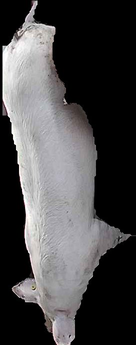 Crop