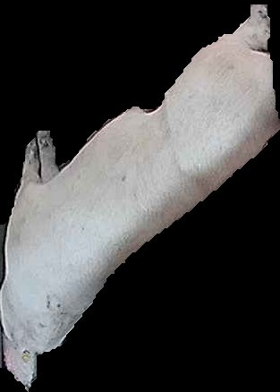 Crop