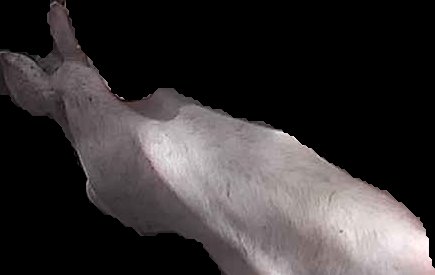 Crop