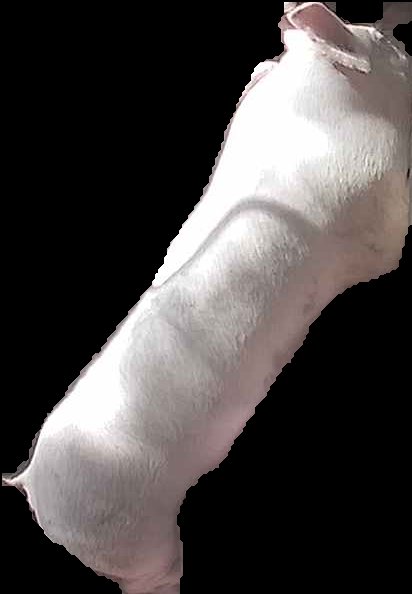 Crop