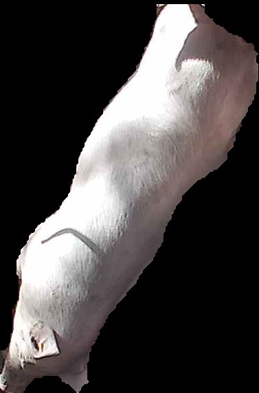 Crop