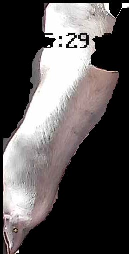 Crop