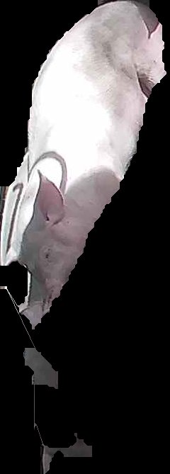 Crop