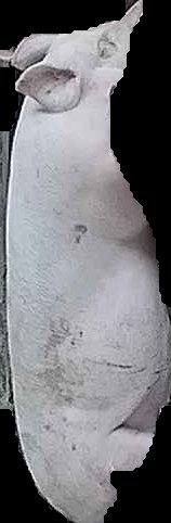 Crop