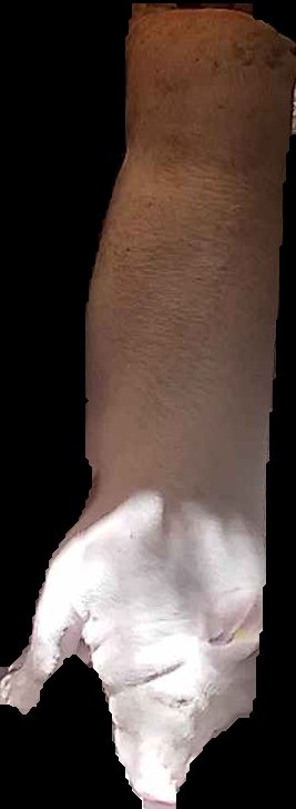 Crop