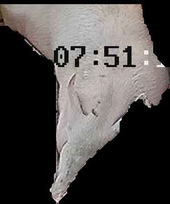 Crop