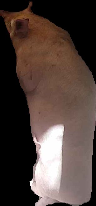 Crop