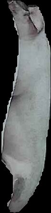 Crop