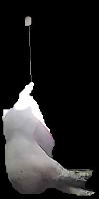 Crop