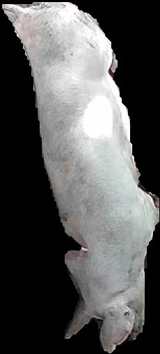 Crop