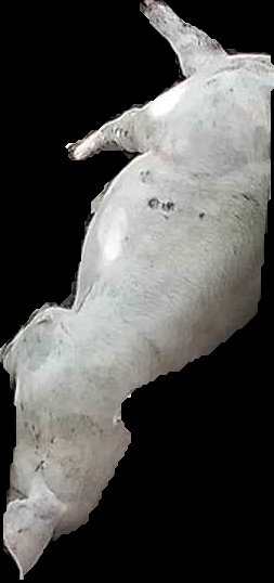 Crop