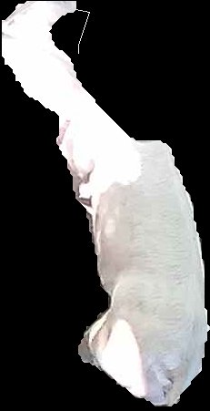 Crop