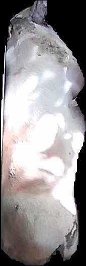 Crop