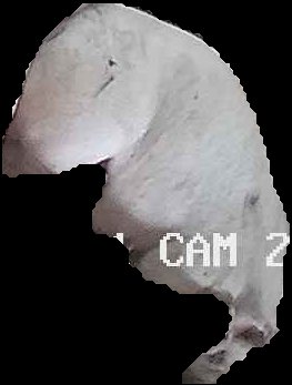 Crop