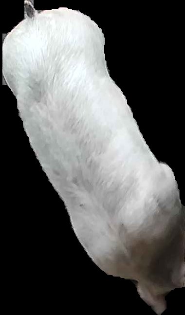 Crop