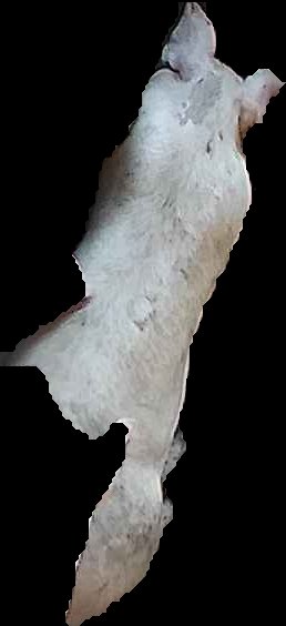 Crop