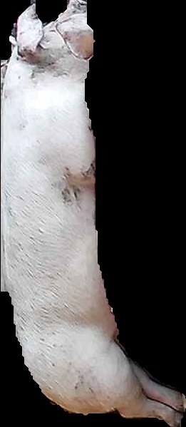 Crop