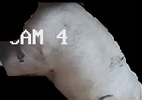 Crop