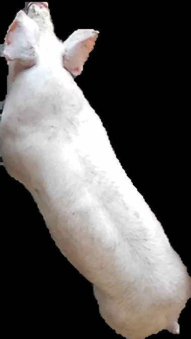 Crop