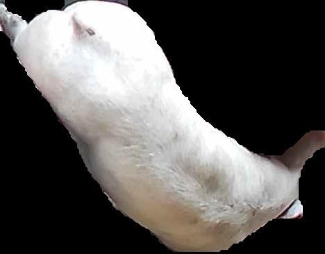 Crop