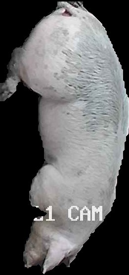 Crop