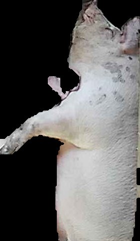 Crop