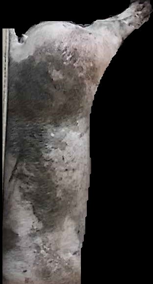 Crop