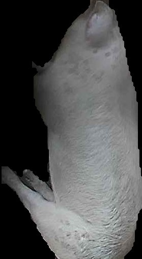Crop
