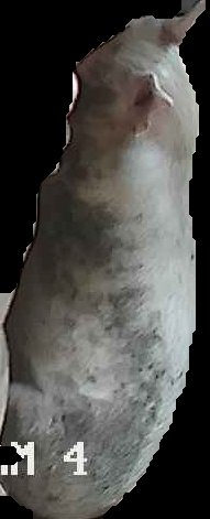 Crop