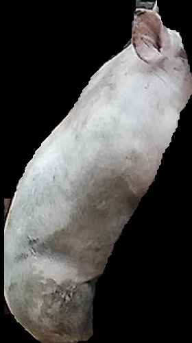 Crop