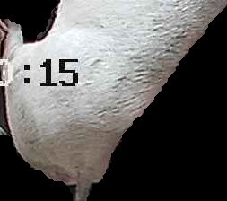 Crop