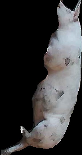 Crop
